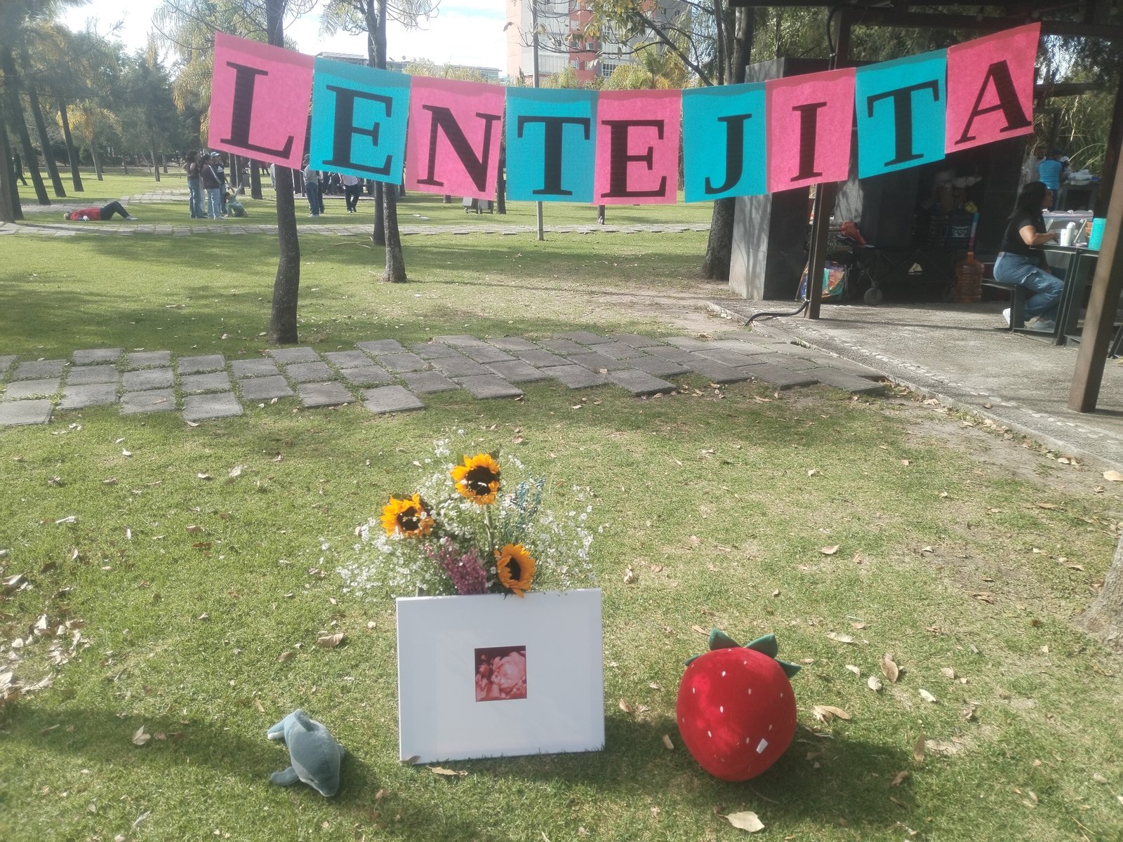 Letrero rosa y turquesa con la palabra LENTEJITA en el parque, junto a flores, el marco del ultrasonido y recuerdos de la celebración.